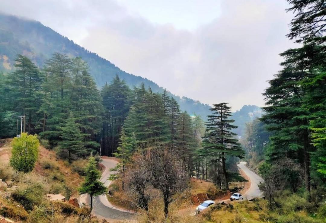 The Lake Cottage By Vrb Hotels Mcleodganj 다람샬라 외부 사진
